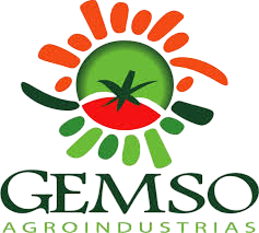 Gemso - Cliente de Sentinel TI